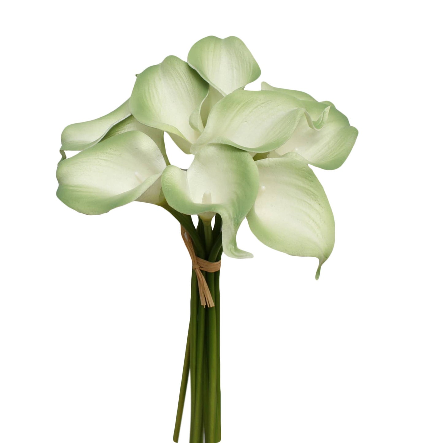 Pack of 10-real touch calla lily green color palette: Clover Green