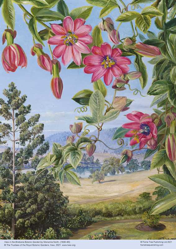 Adult Jigsaw Puzzle Kew: Marianne North: View in the Brisbane Botanic Garden (500 pieces) by: Jigsaw; 1 pages / English