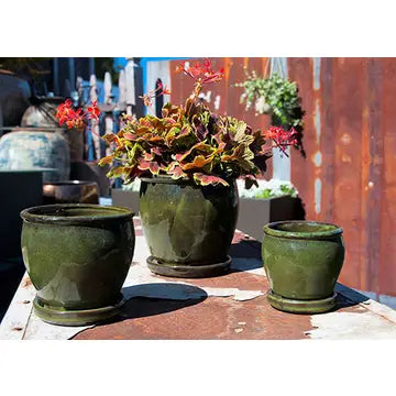 Butter cup pot with attached saucer