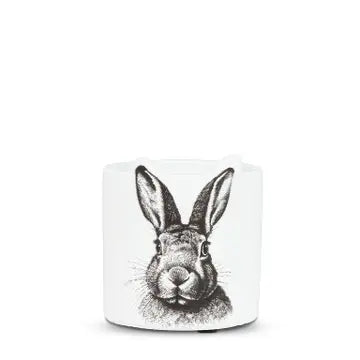 Bunny Sketch Planter 3"