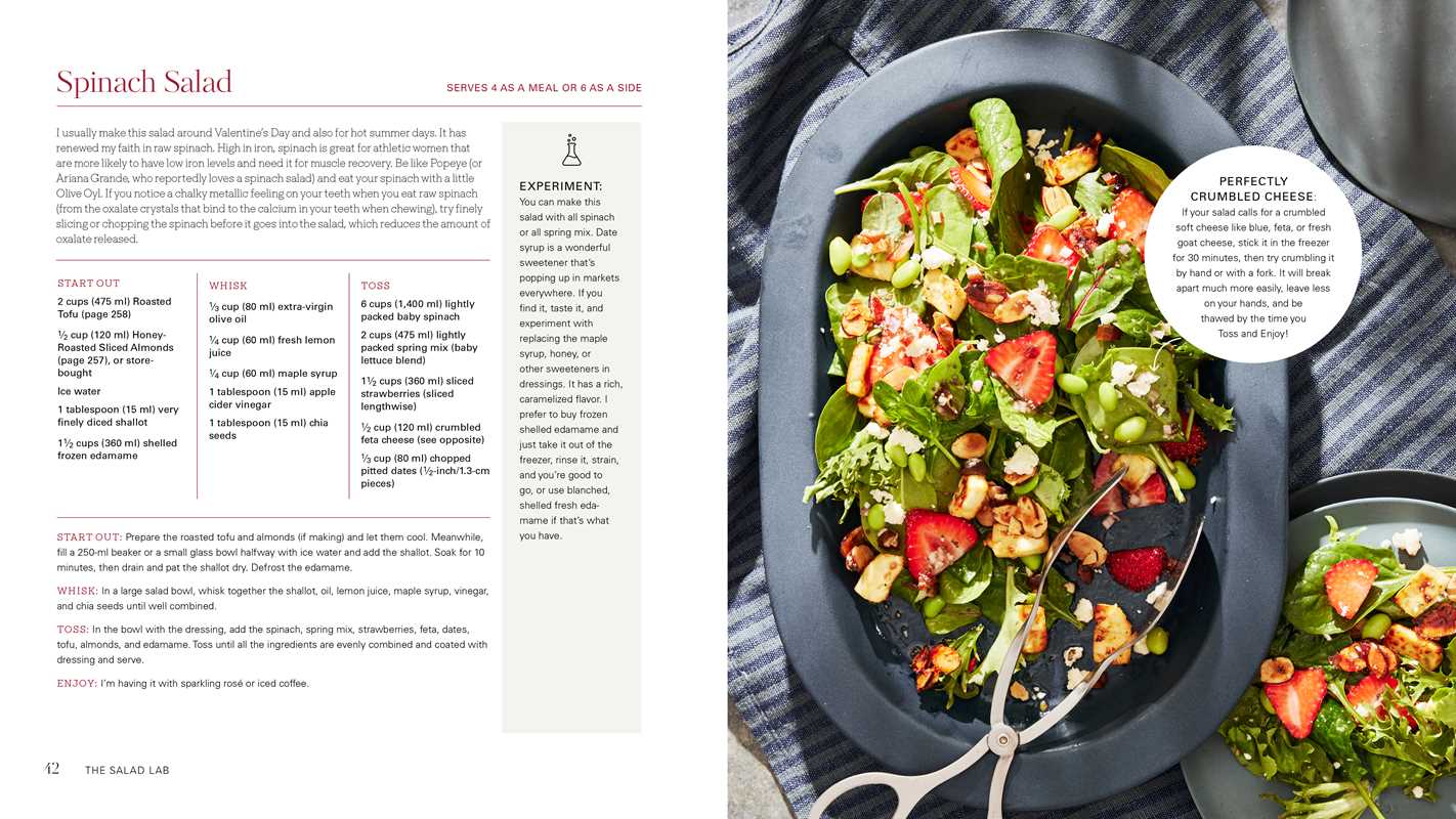 Salad Lab: Whisk, Toss, Enjoy! by Darlene Schrijver: Hardcover; 272 pages / English