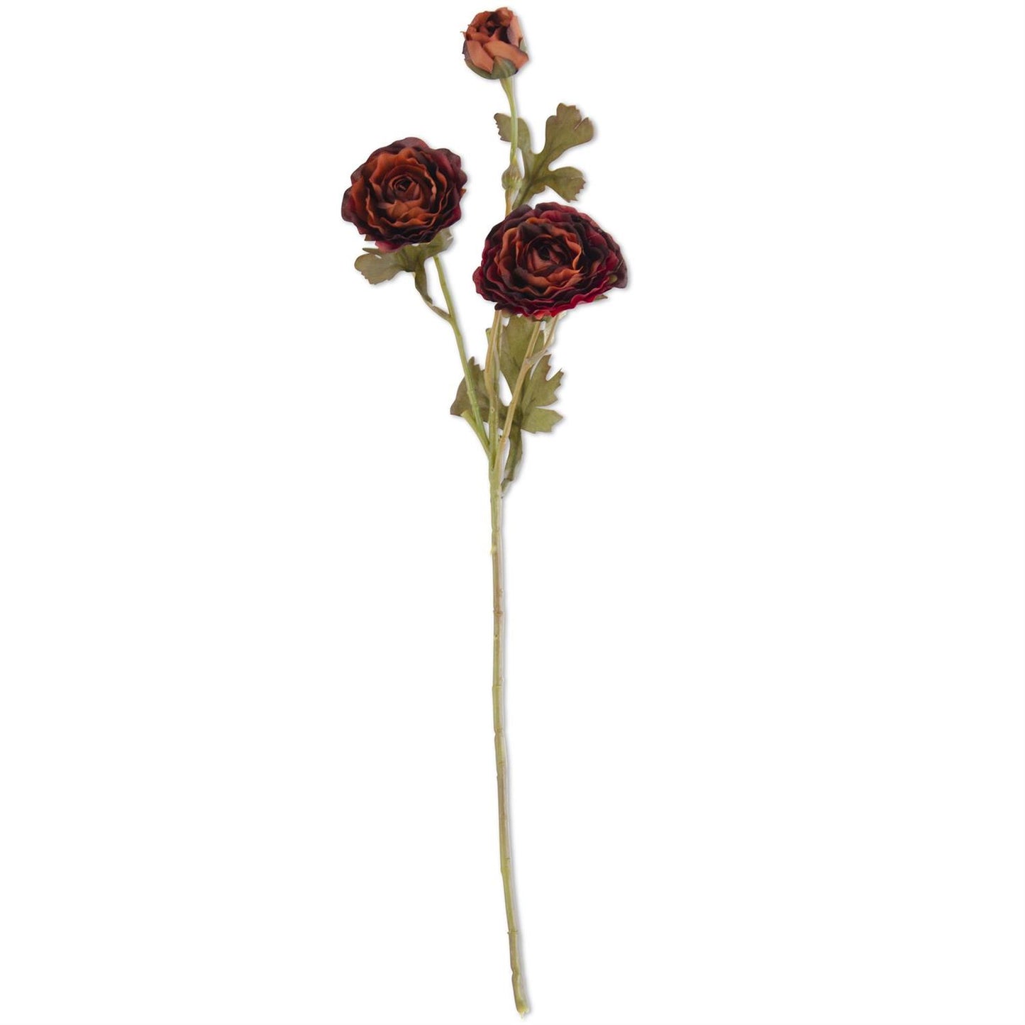 Burgandy Ranunculus Spray
