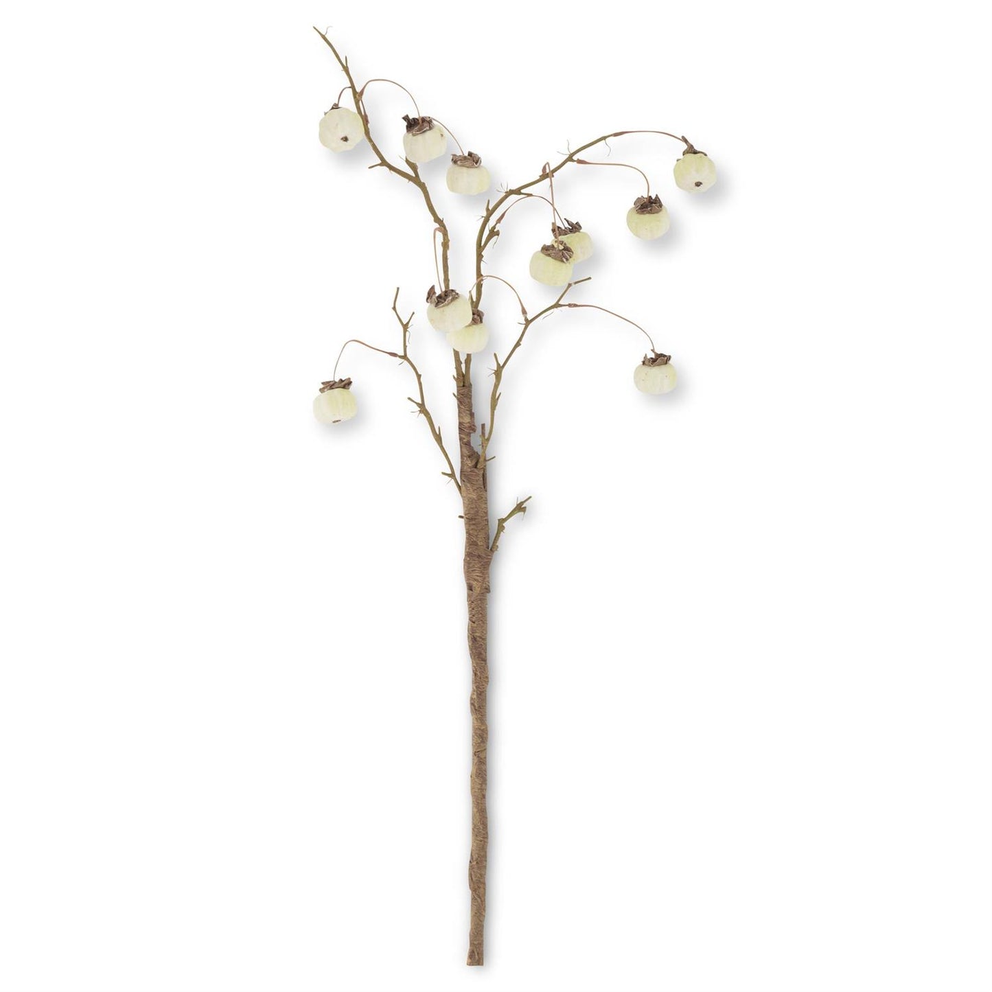 White Mini Pumpkin Branch
