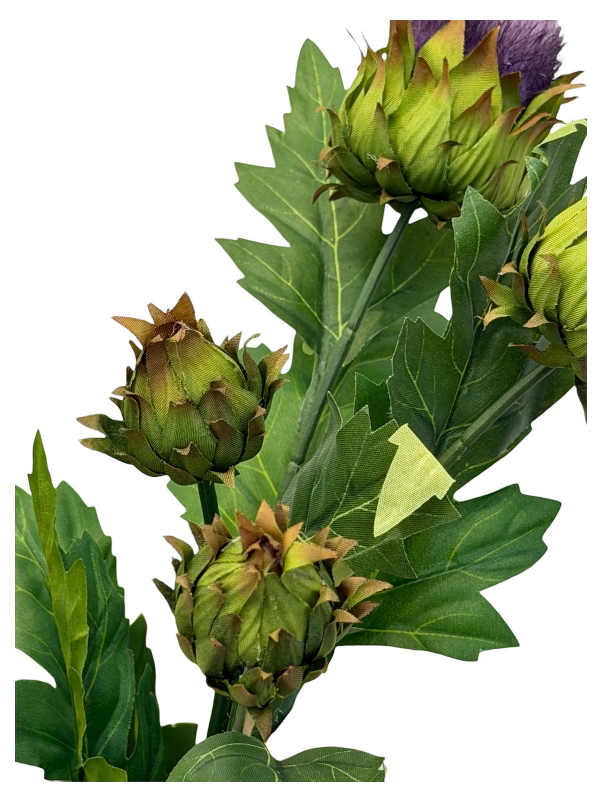 19.5"Globe Thistle 2 buds: Deep Red