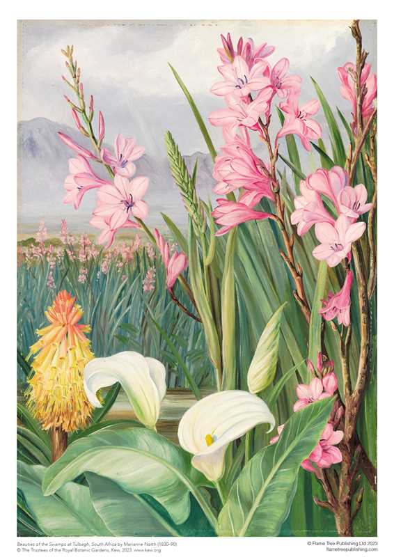 Adult Sustainable Jigsaw Puzzle Kew Gardens: Marianne North: Beauties of the Swamps at Tulbagh by: Jigsaw; 1 pages / English