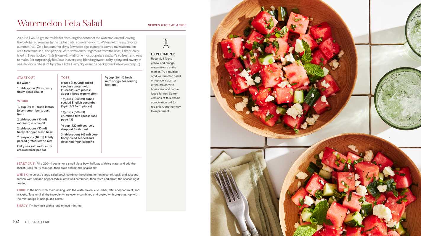 Salad Lab: Whisk, Toss, Enjoy! by Darlene Schrijver: Hardcover; 272 pages / English