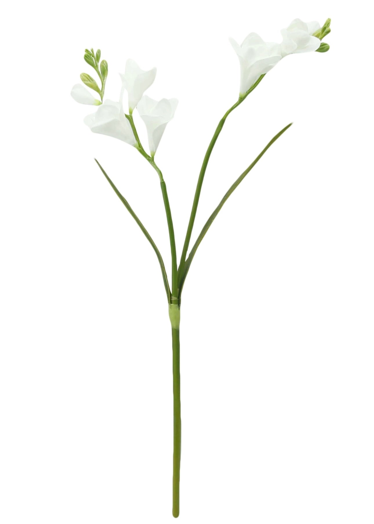 20” Freesia with 2 sprays