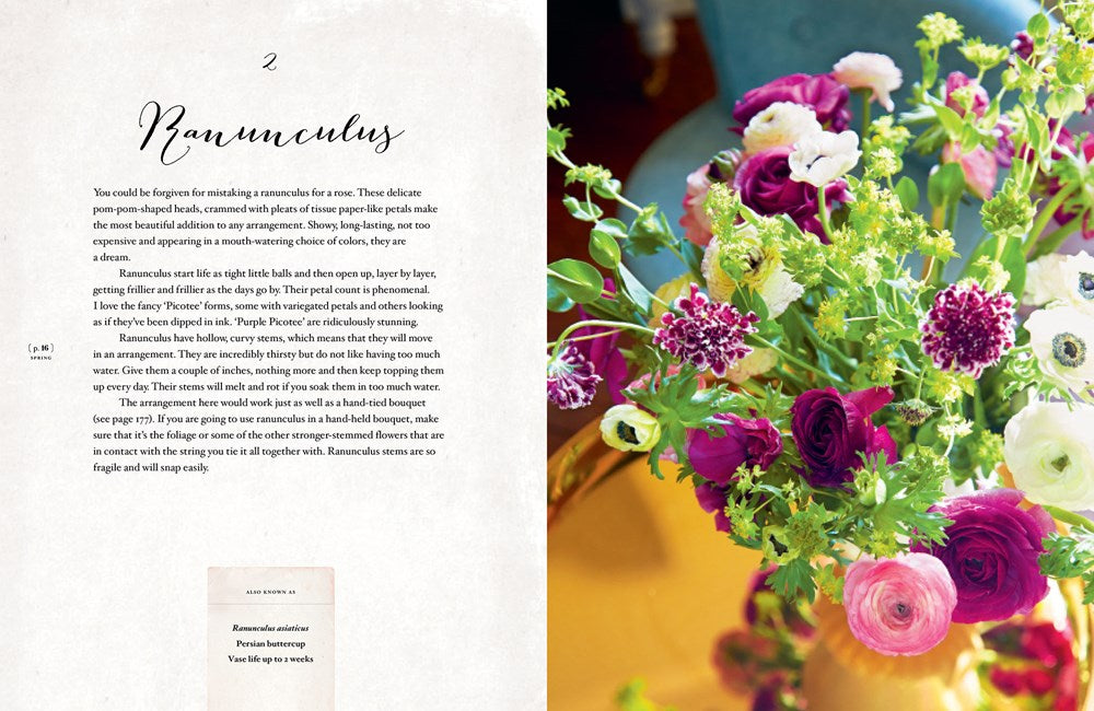 Flourish: Stunning Arrangements with Flowers/Foliage