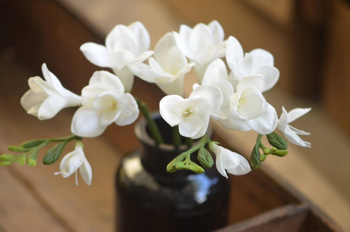 20” Freesia with 2 sprays