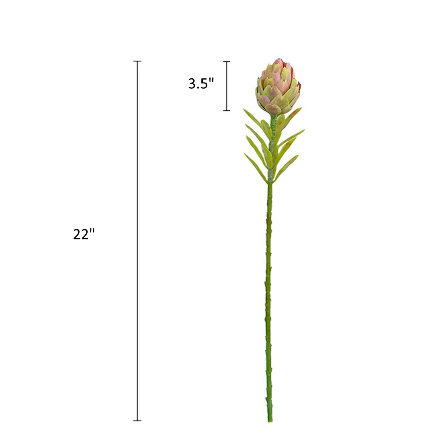 22" Artichoke Artificial Stem