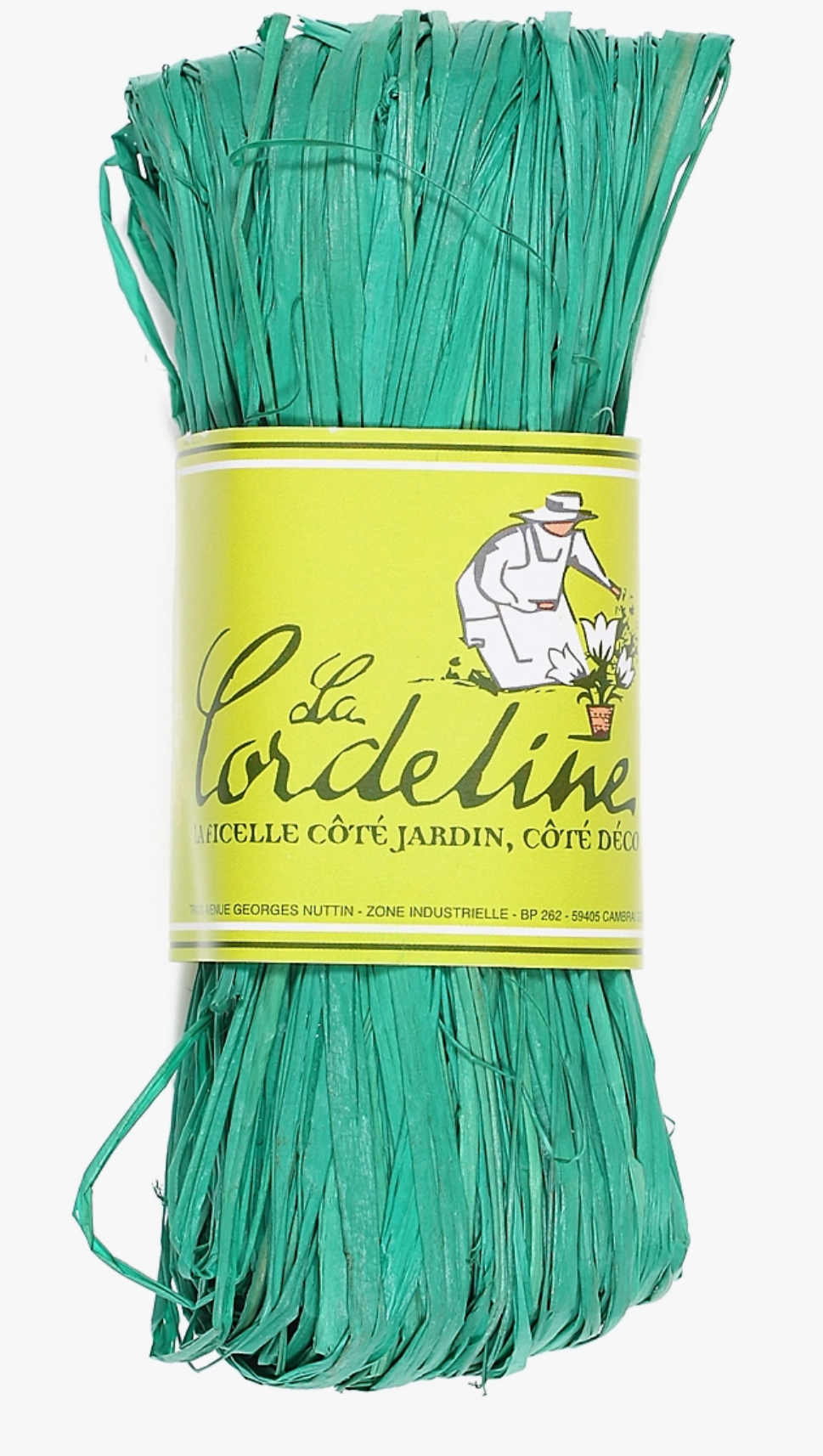 Natural Raffia - various colors