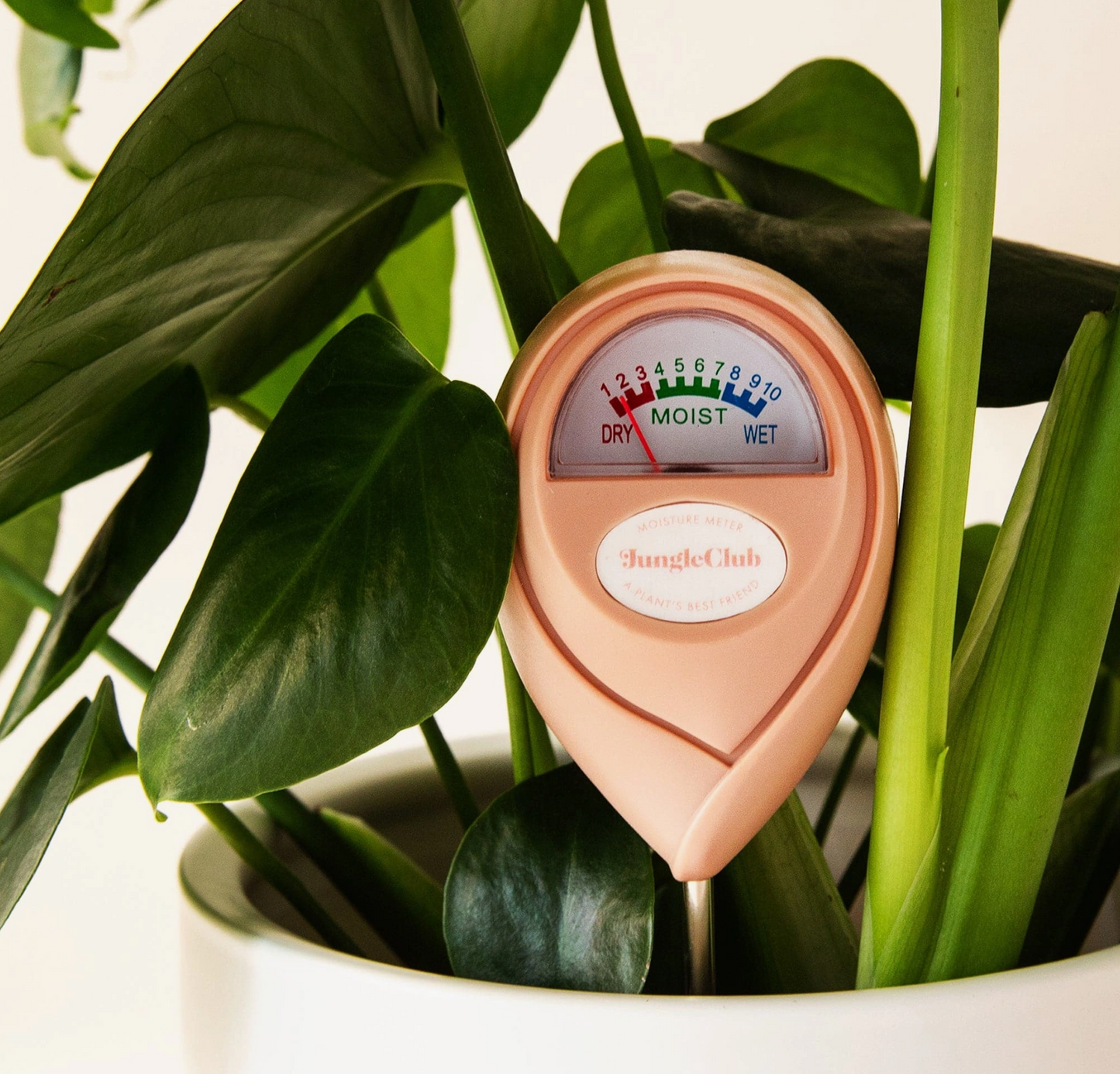 Moisture Meter - Pink