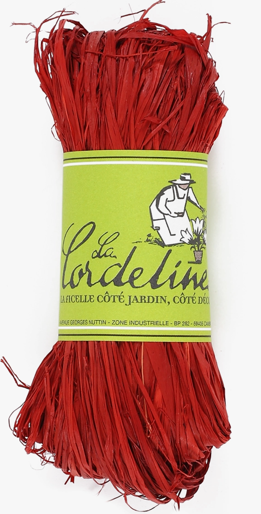Natural Raffia - various colors