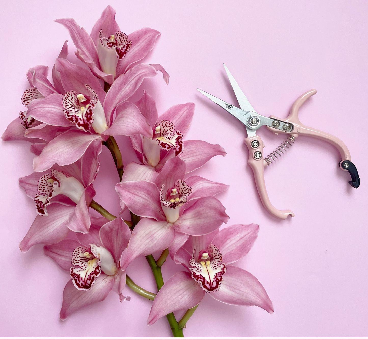Pruning Shears
