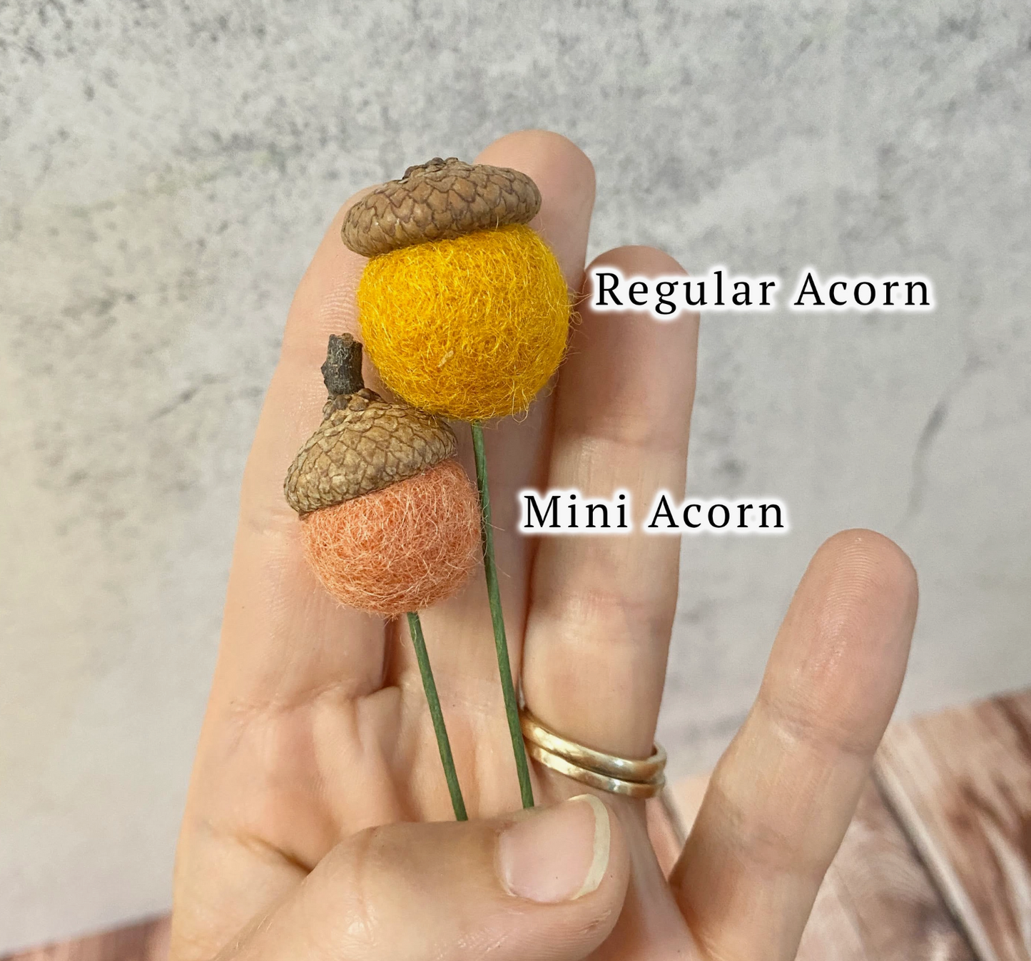 Reg. Felted Acorn