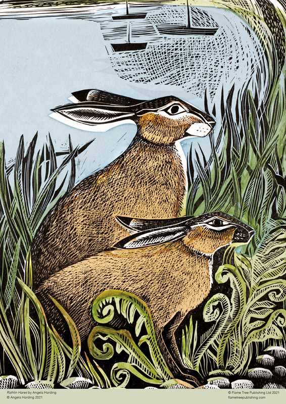 Adult Jigsaw Puzzle Angela Harding: Rathlin Hares (500 pieces) by: Jigsaw; 1 pages / English