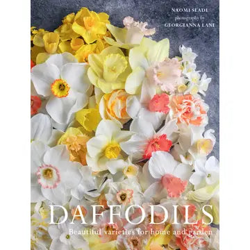 Daffodils