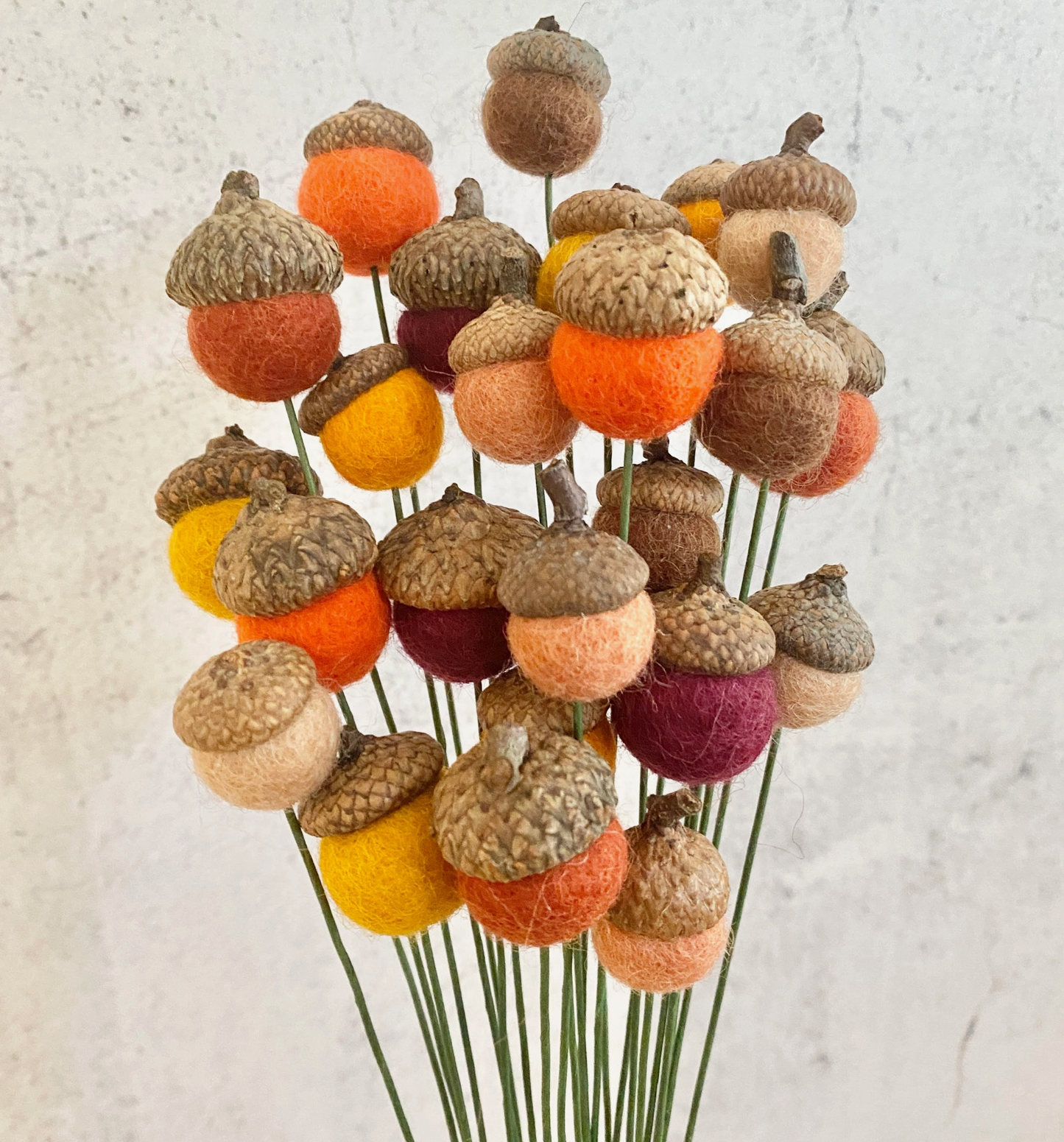 Reg. Felted Acorn