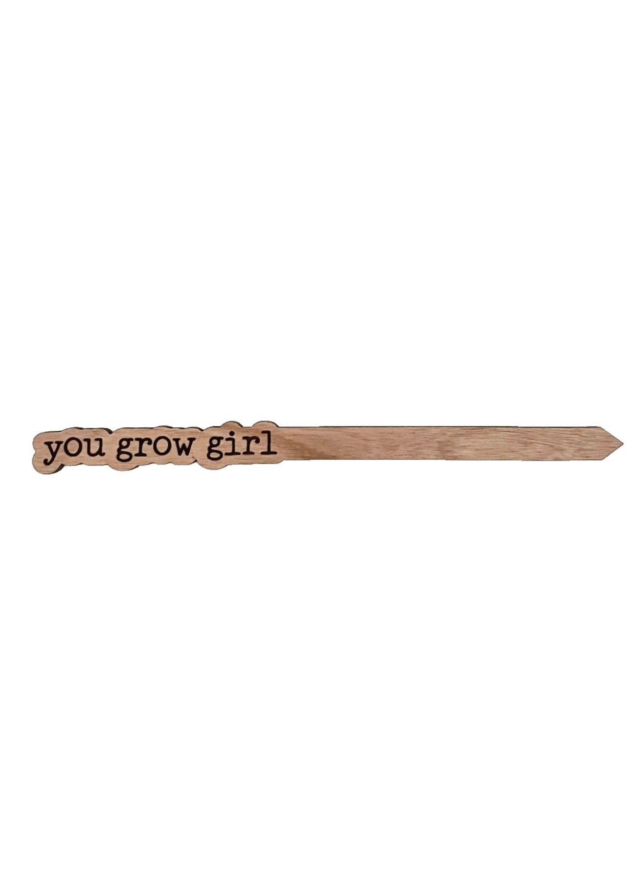 Punny Plant Stakes