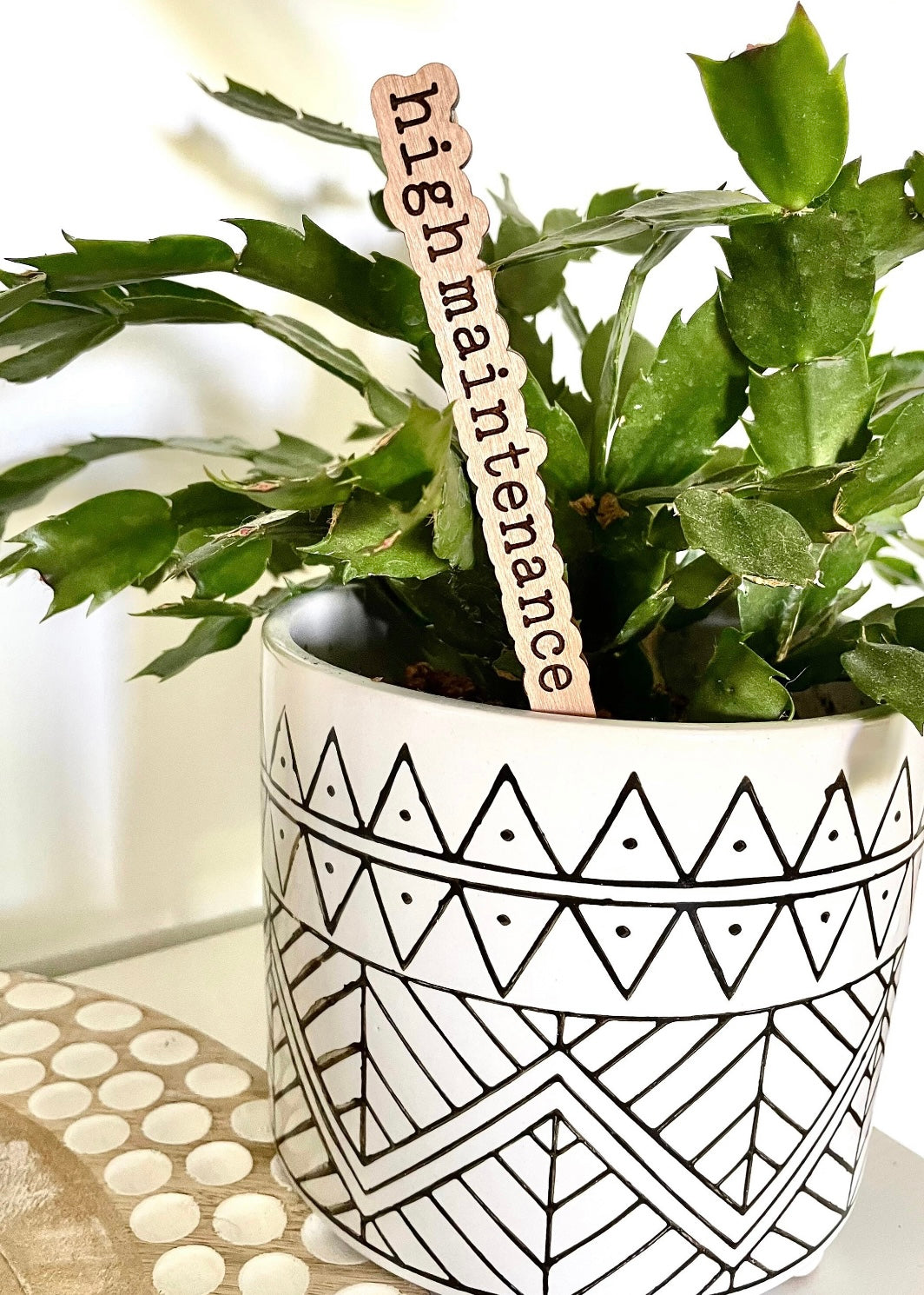 Punny Plant Stakes