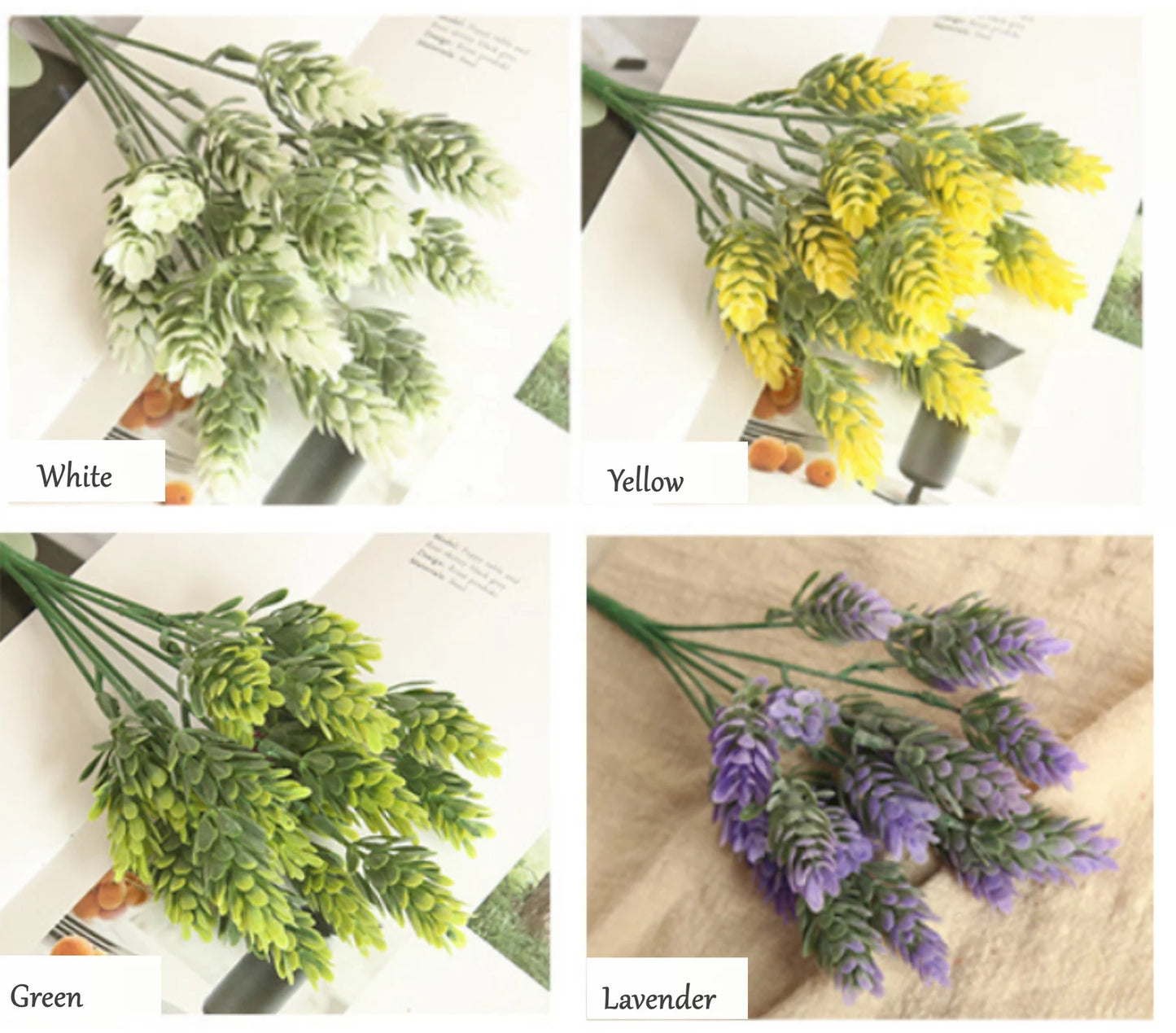 Frosted sedum hops - Lavender