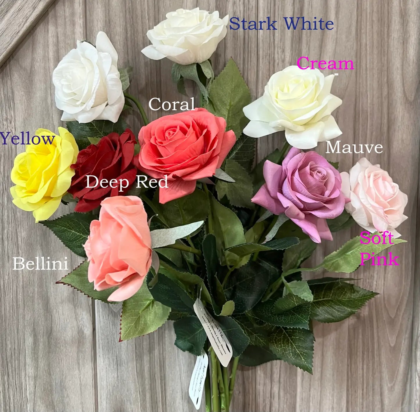 Rose stems- Ivory