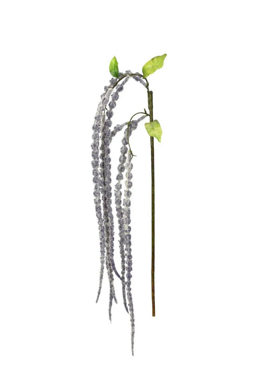 Hanging Amaranthus-Purple