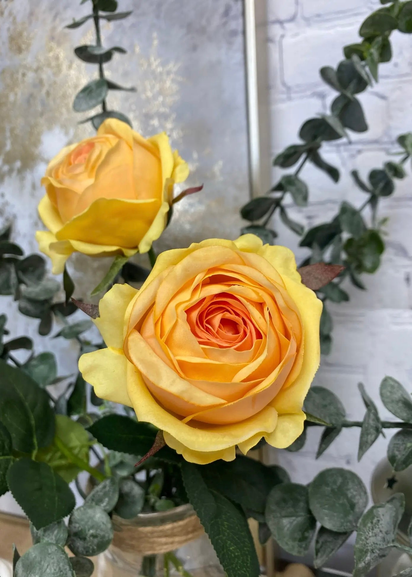 Cabbage Rose-Soft Orange