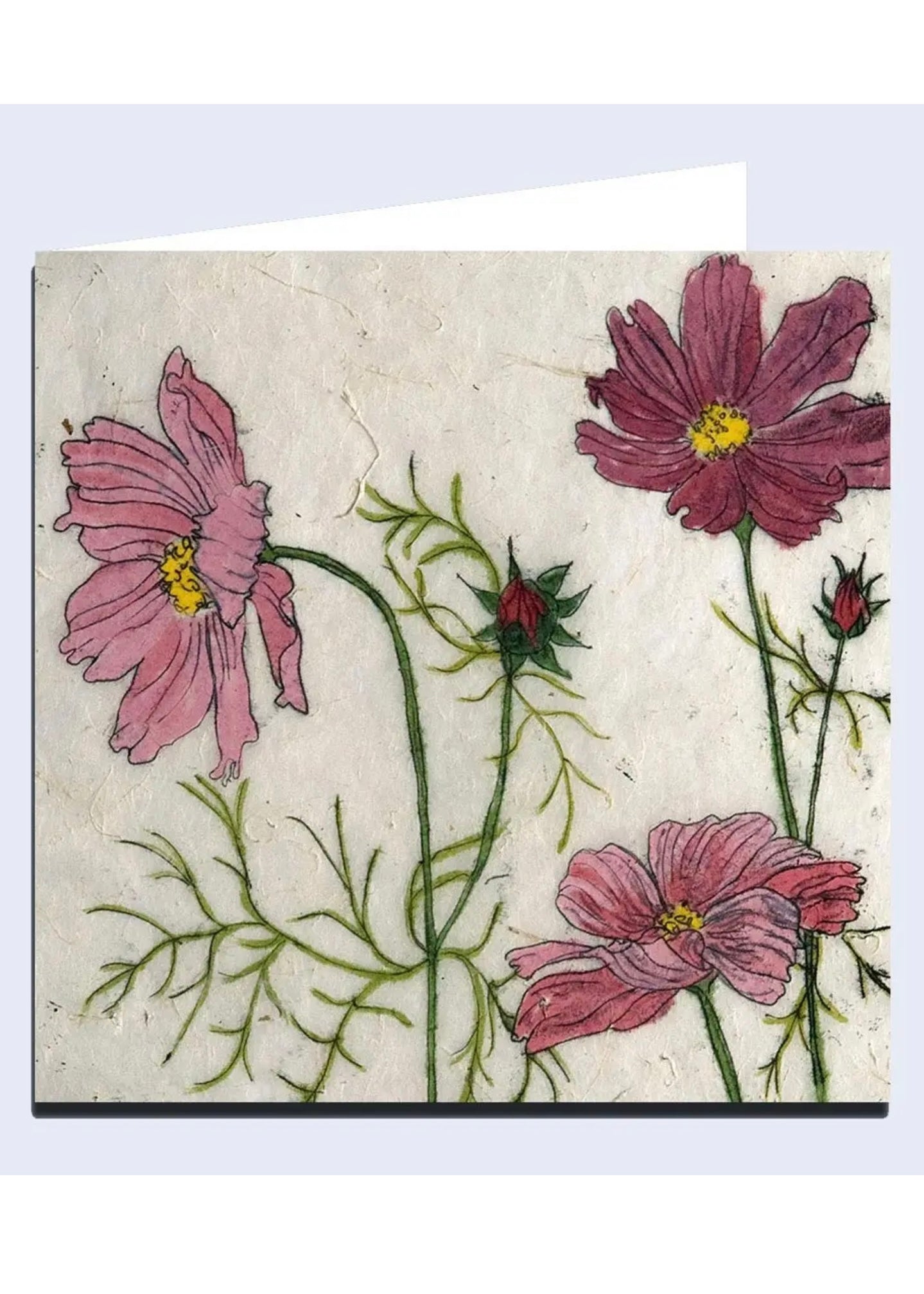 'Cosmos' Note Card