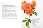Vintage Roses Book