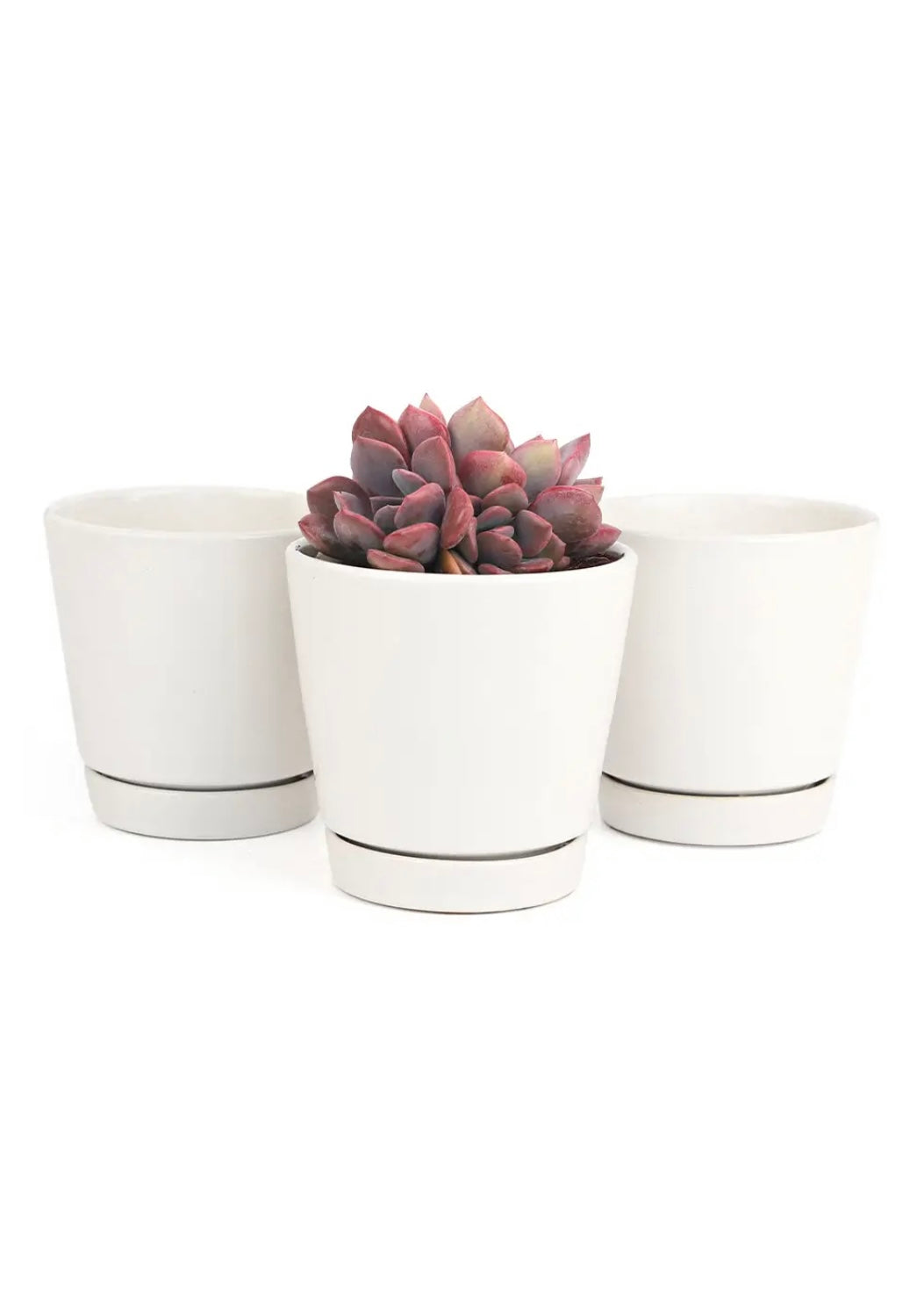White 4 inch pot