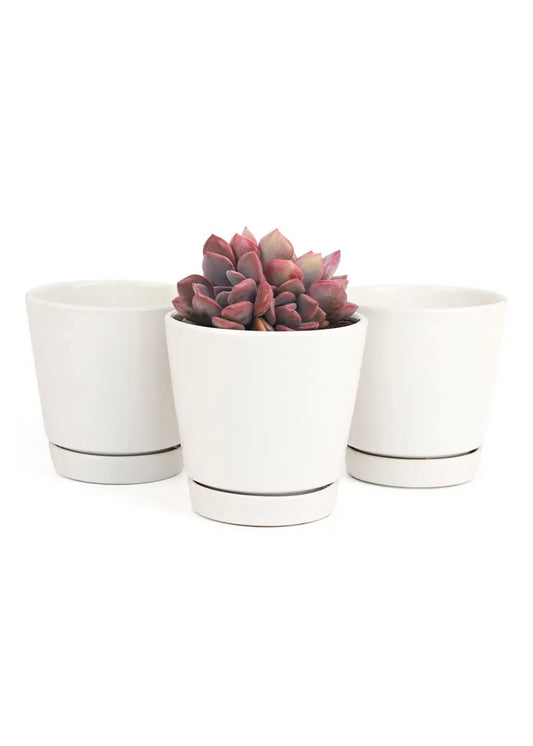 White 4 inch pot