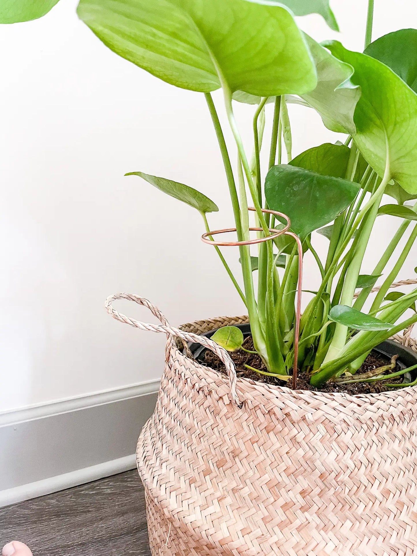 9” Copper Loop Plant Trellis