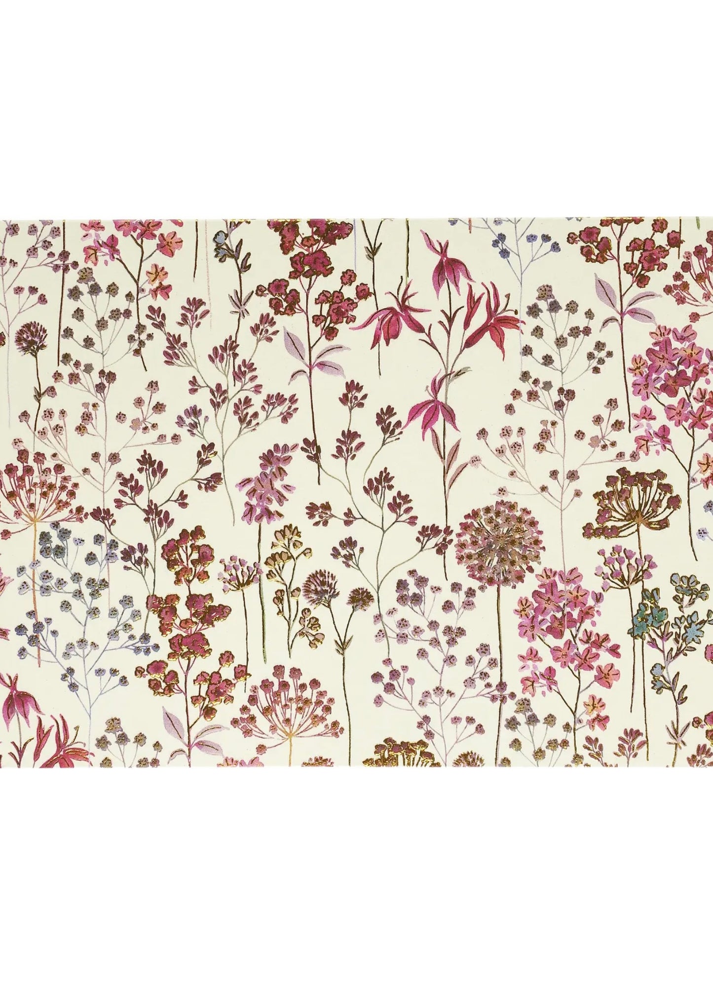 Wildflower Meadow Note Cards