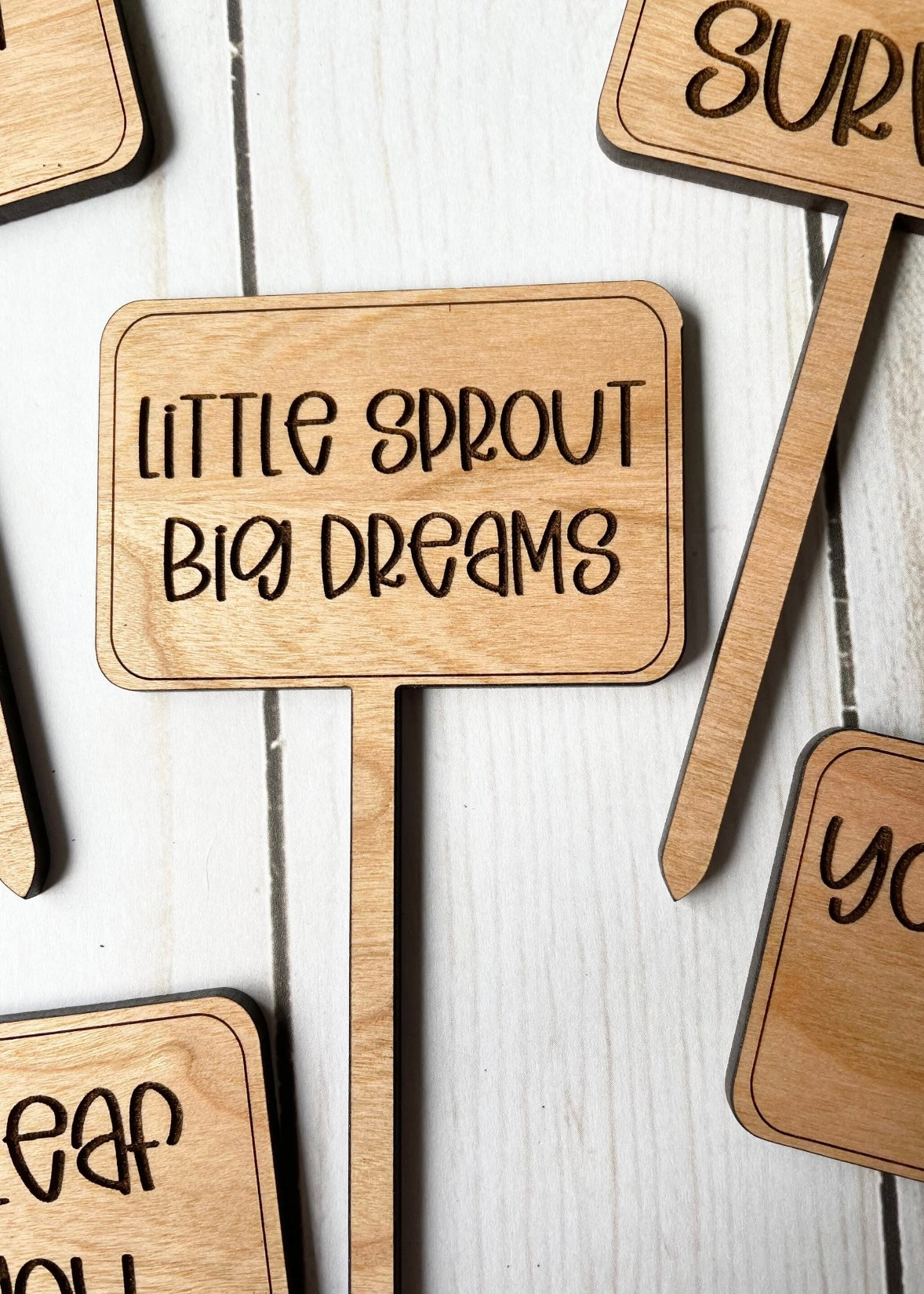 Motivational Plant Signs