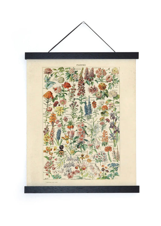 Fleurs Garden Flower Vintage Botanical Print w/ Walnut frame