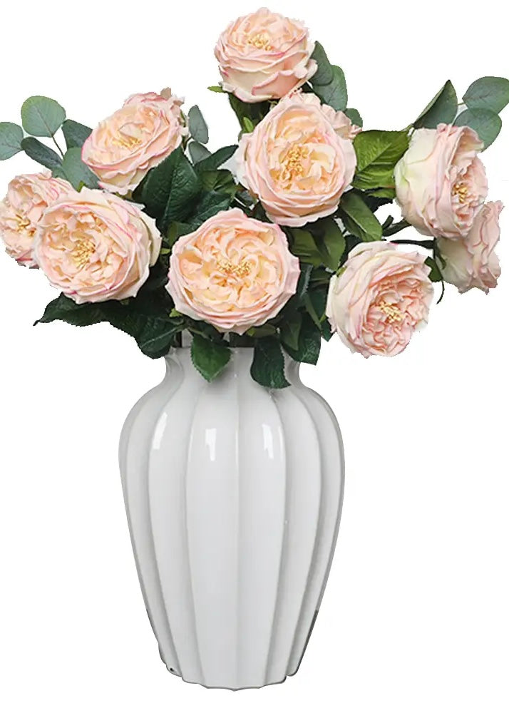 Cabbage Rose-Light Pink