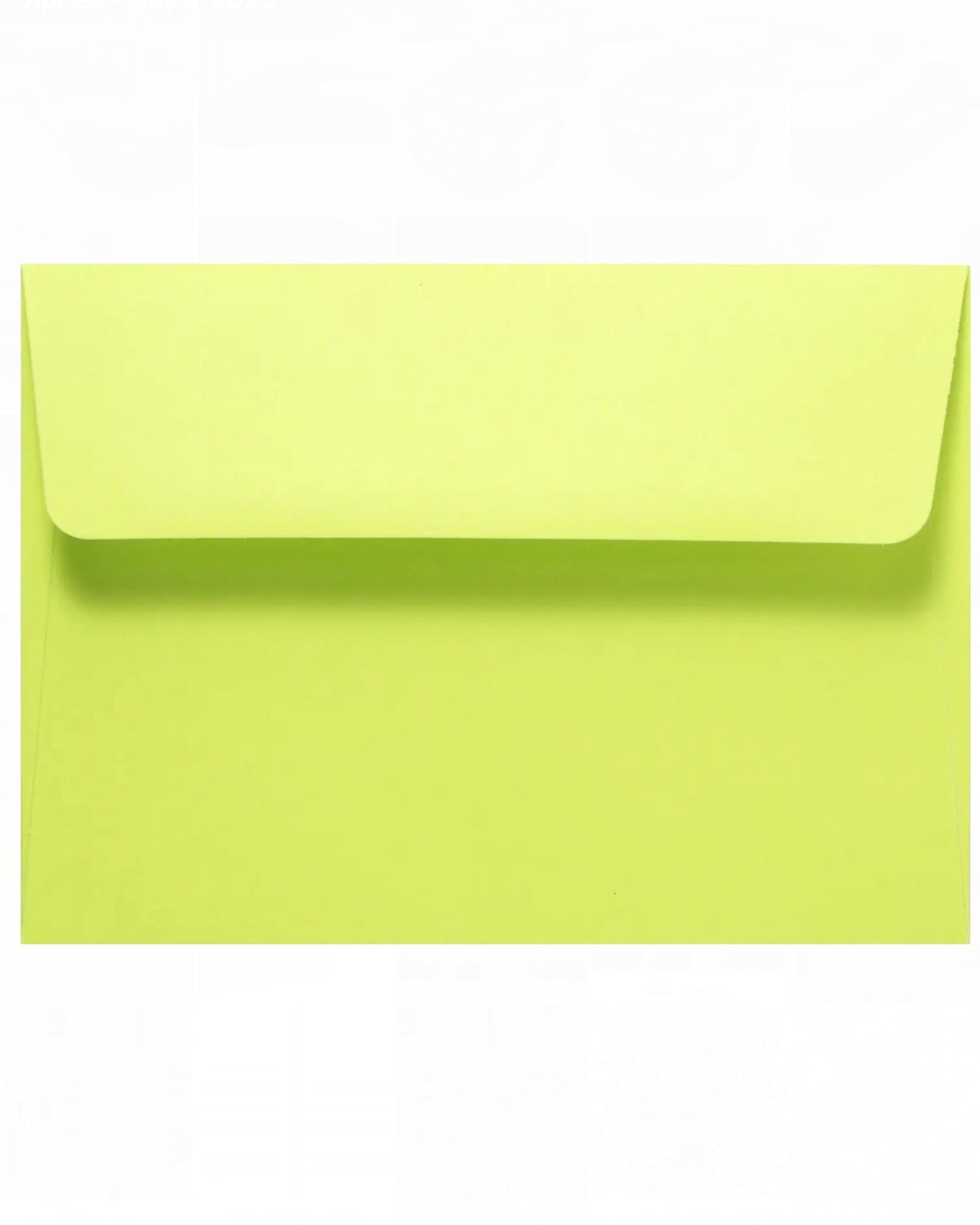 Succulent Garden Thank You Notes