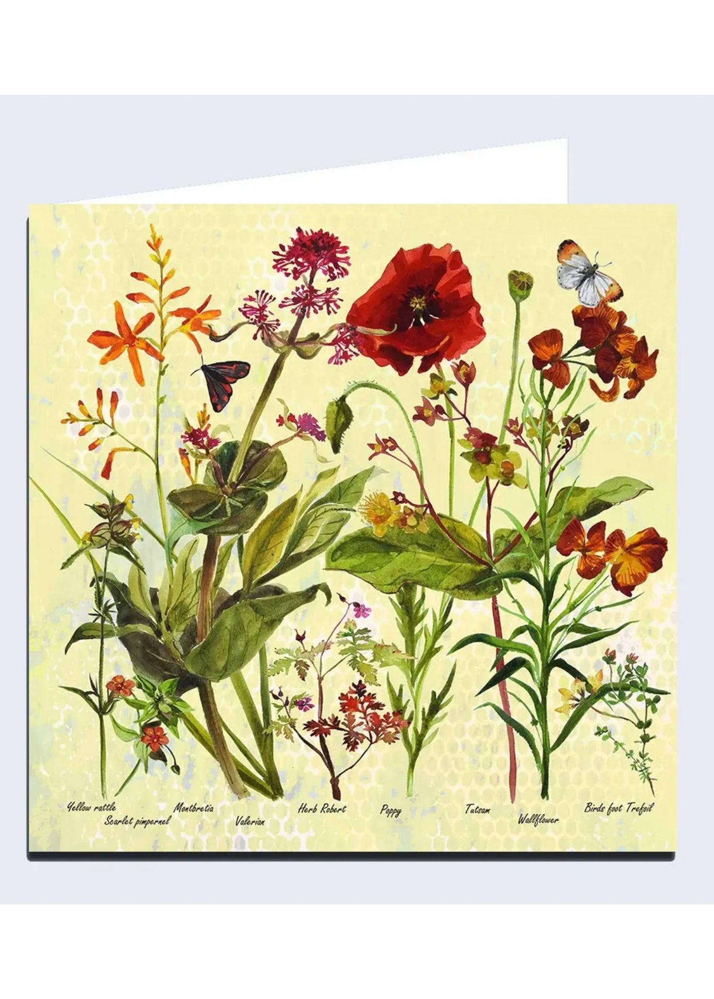 Wildflowers 'Fiery' Greeting Card