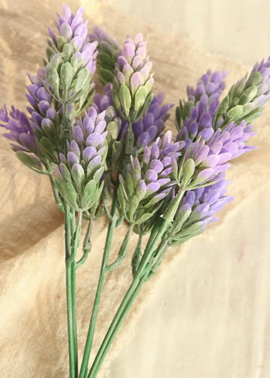Frosted sedum hops - Lavender