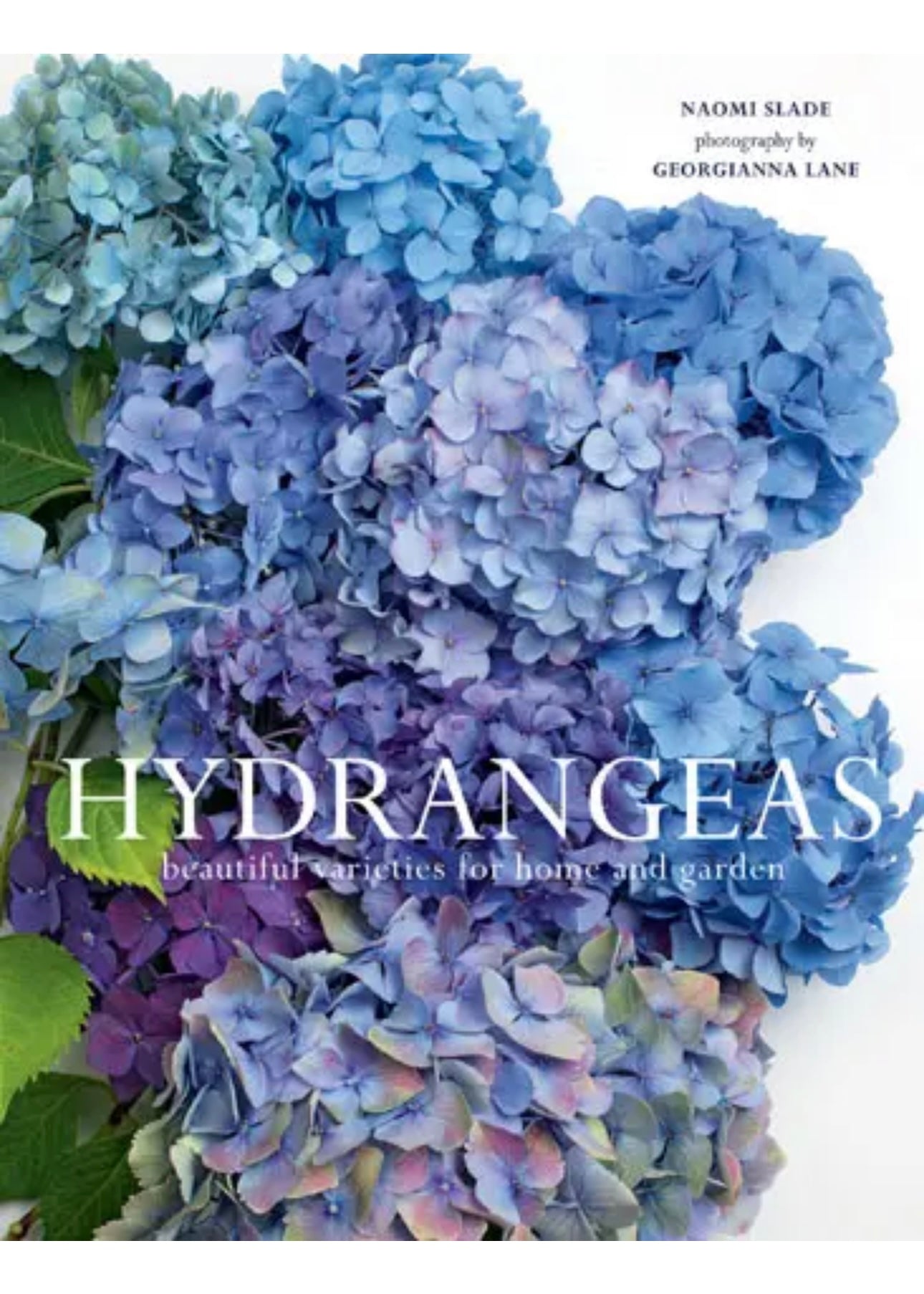 Hydrangeas Book