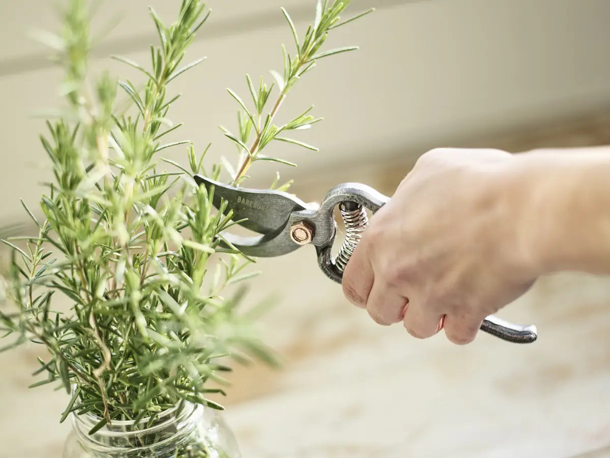 Barebones Pruner