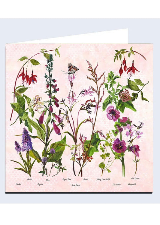 Wildflowers 'The Pinks' Greeting Card