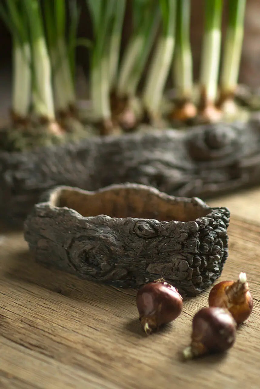 Cement Log Planter