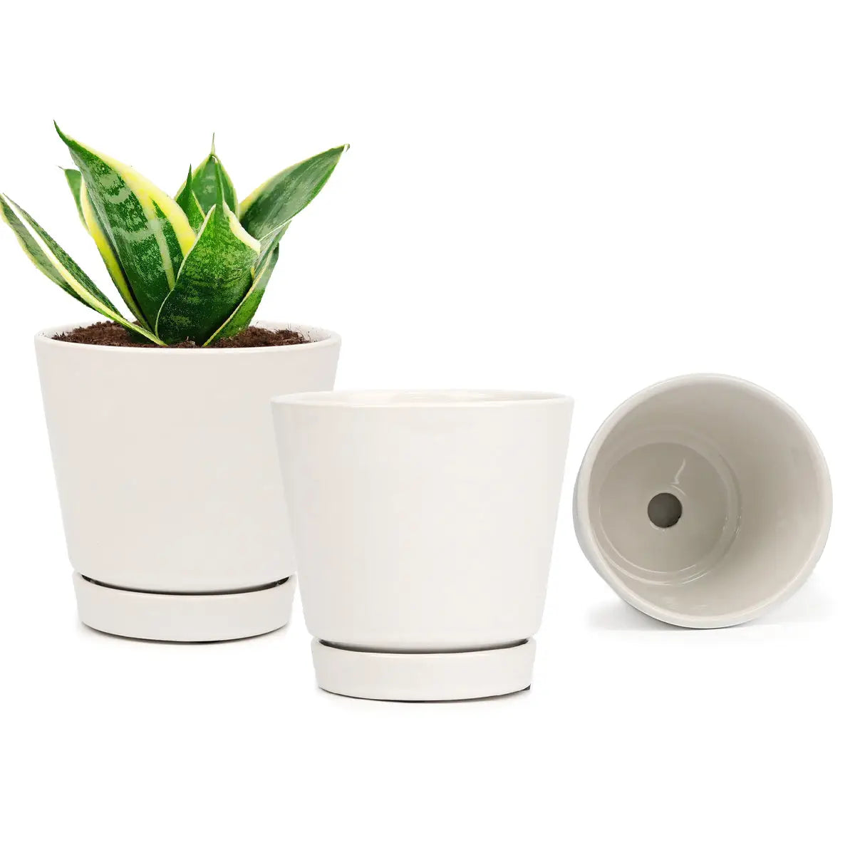 White 4 inch pot