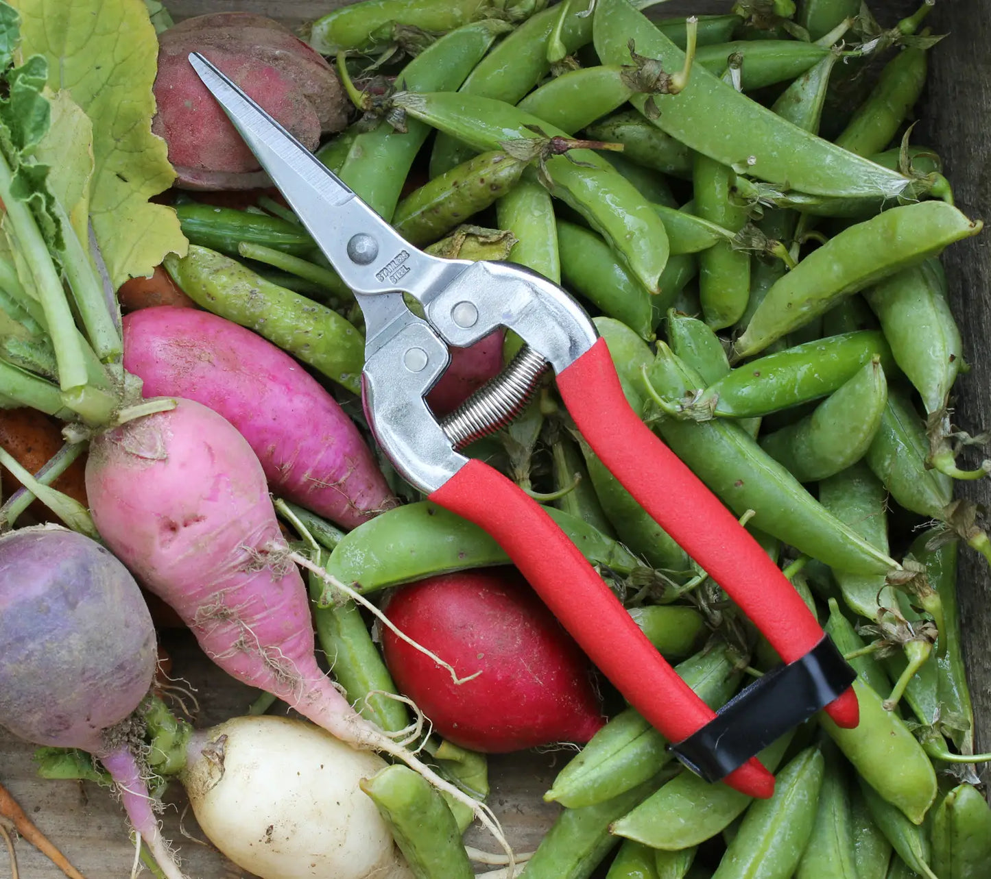 Garden Shears-Needle Nose