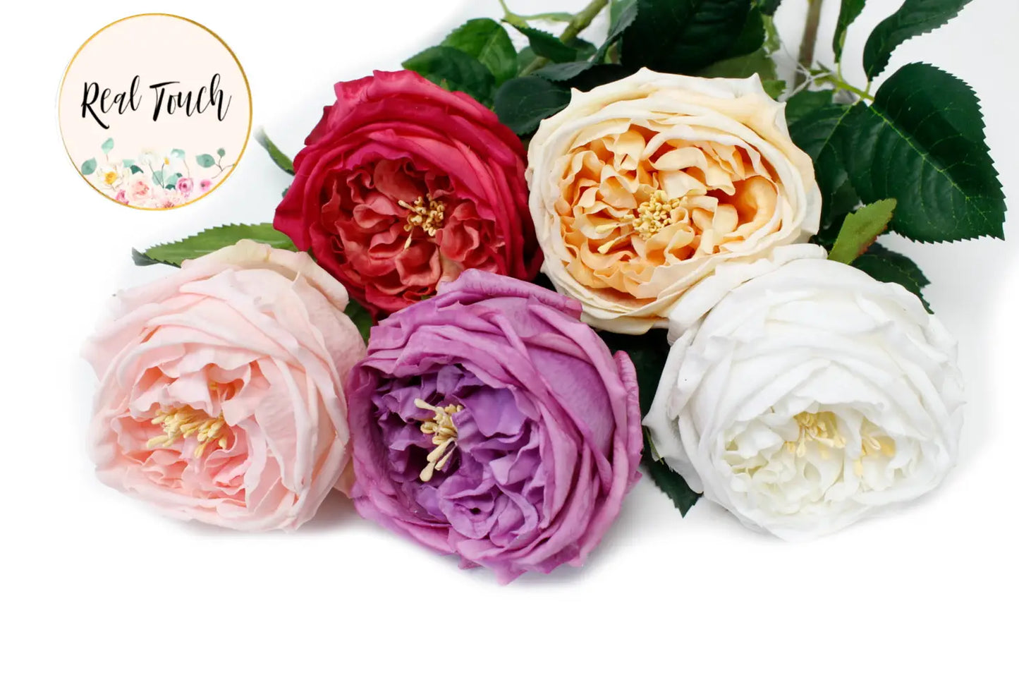 Cabbage Rose-Light Pink