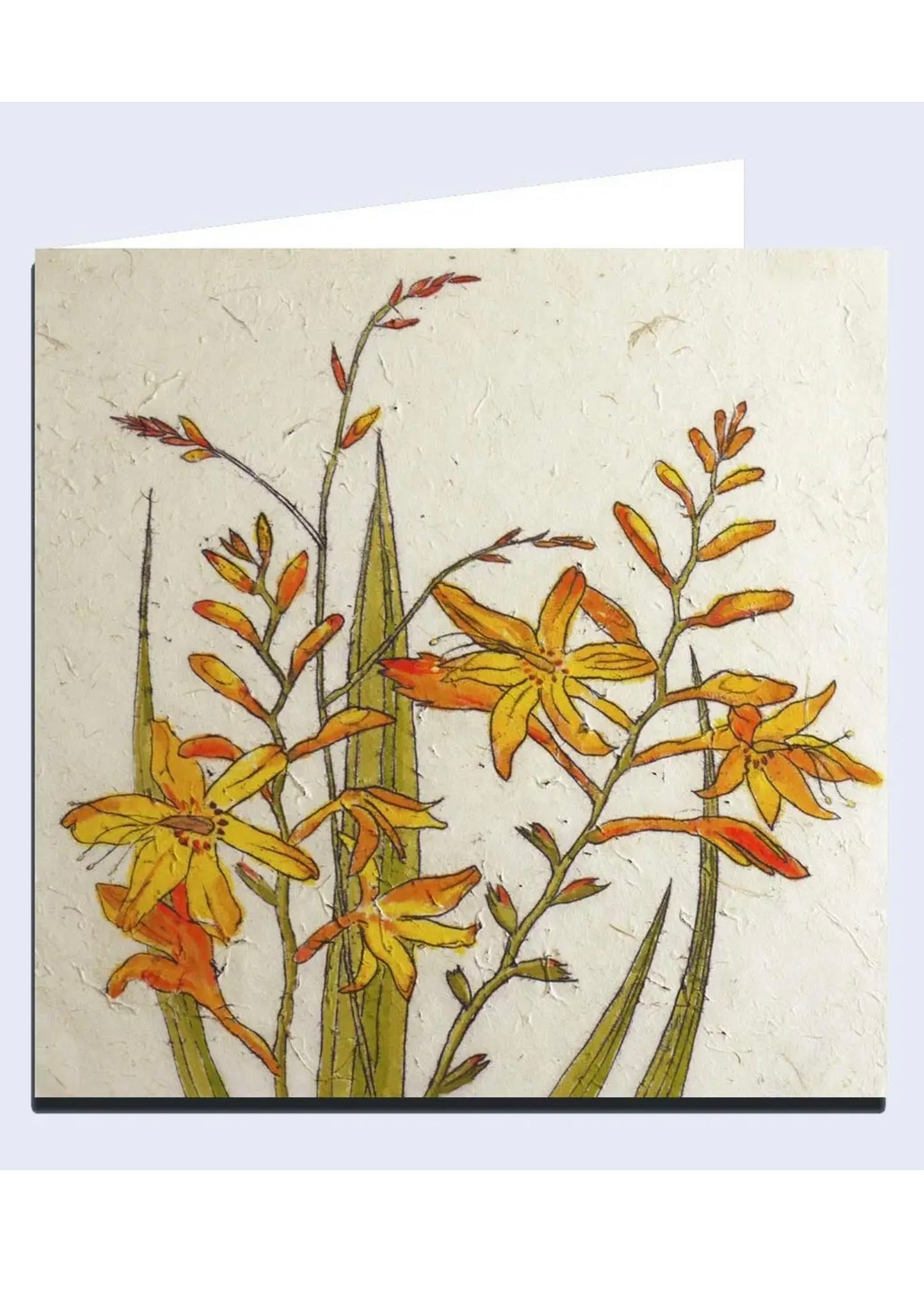 'Monbretia' Note Card