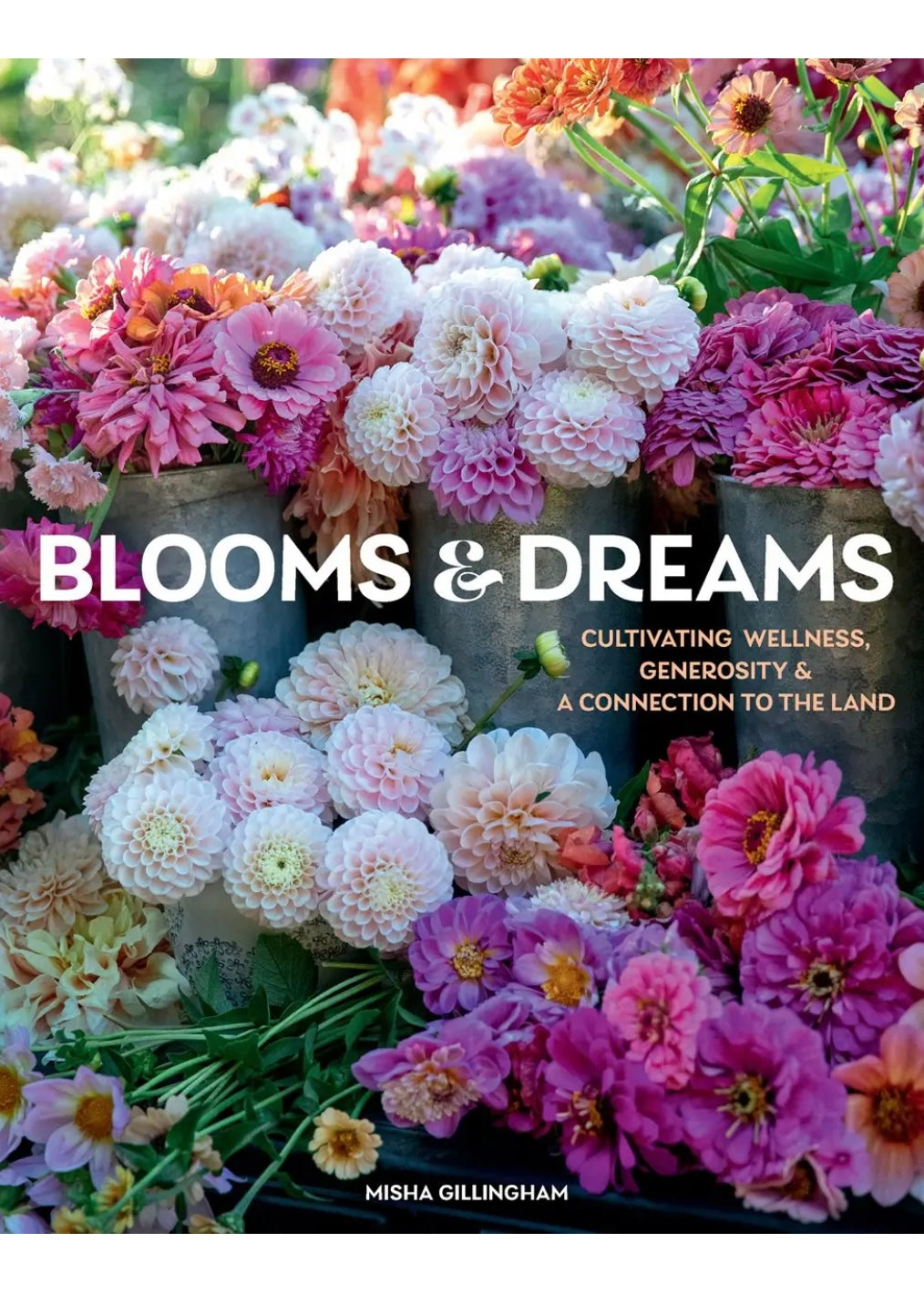 Blooms & Dreams