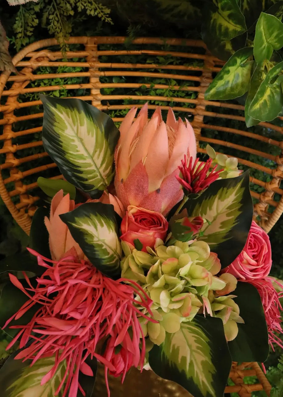 Young Hydrangea Stems